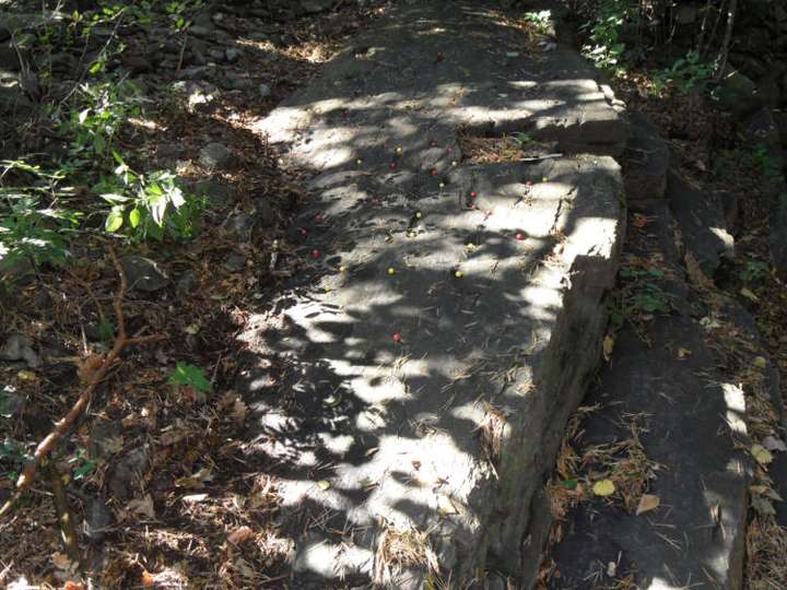 Zur besseren Kennzeichnung der Schalen wurden farbige Kugeln verwendet.