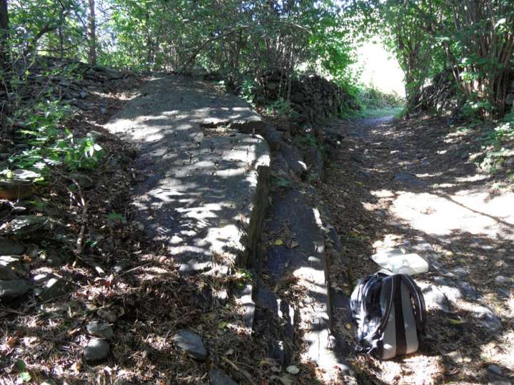 Schalenstein am Weg nach Brixen.