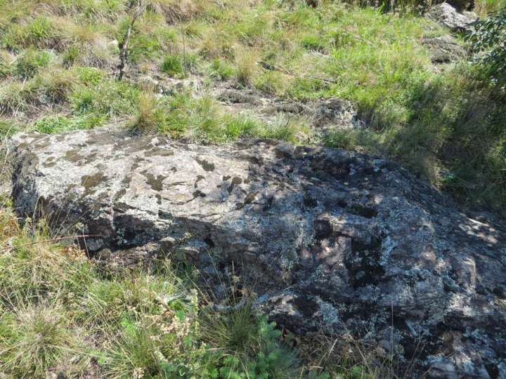 Ein abseits liegender Schalenstein südöstlich des Großen Schalensteins