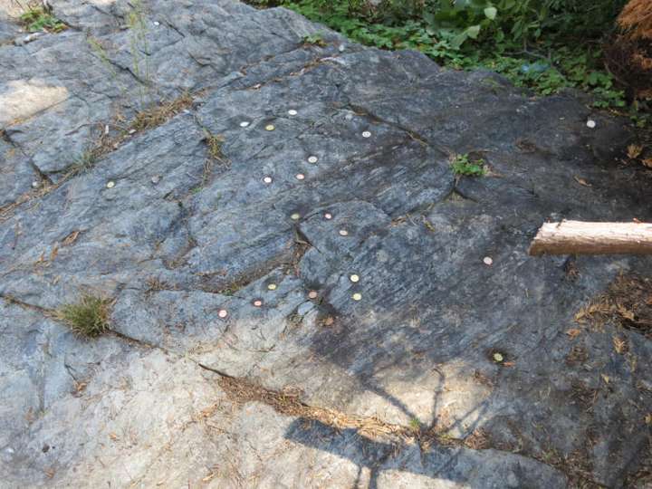Schalen auf dem Felsen unterhalb der Staatsstraße Brixen-Feldthurns