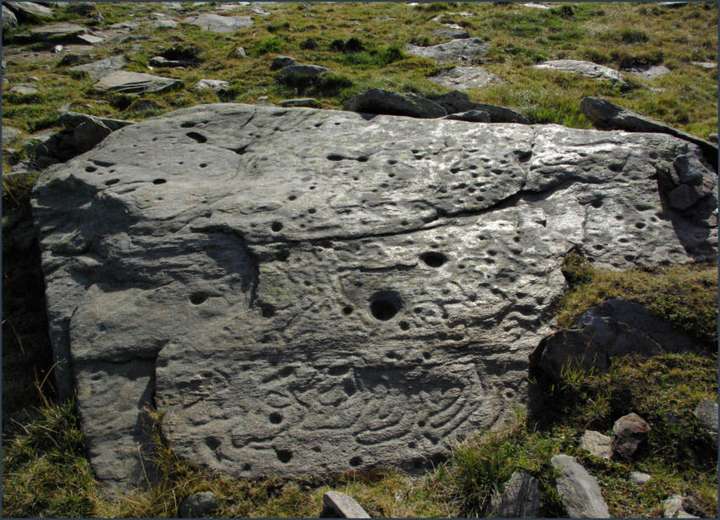 Sternplatte (Stein Nr. 37)