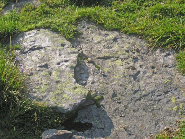 Stein Nr. 7